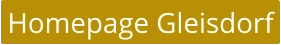 Homepage Gleisdorf